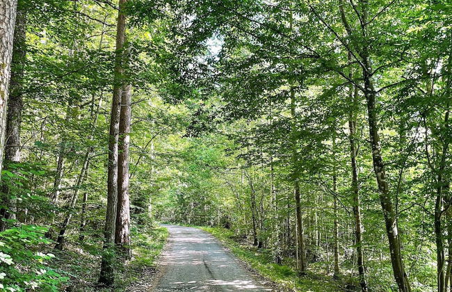 6 Person Holiday Home in Olofstrom-by Traum - Foto 4