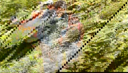 Atravesando la frondosa selva