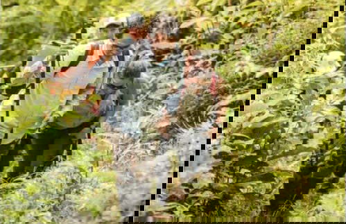 Regalia Waterfalls Hiking Tour - Photo 4