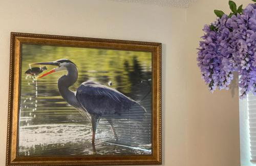 STAIRS OPTIONAL! Lakefront! Pool! On Water! Convenient Fishing! - Photo 76