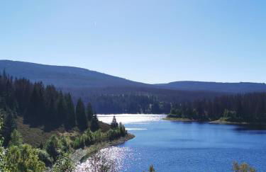 Ferienwohnung am Berg - Foto 21