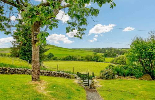 3 Bed in Cerrigydrudion 88206 - Photo 10