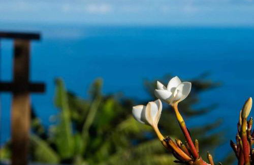 CASAS EN FINCA ECOLÓGICA LA ESPIRAL, NATURALEZA, CALMA Y VISTAS al MAR, - Foto 56