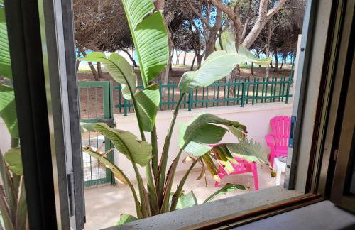 FRONTE PINETA MARE RIVABELLA - Foto 20