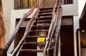 Recanto tico e teco - Foto 9