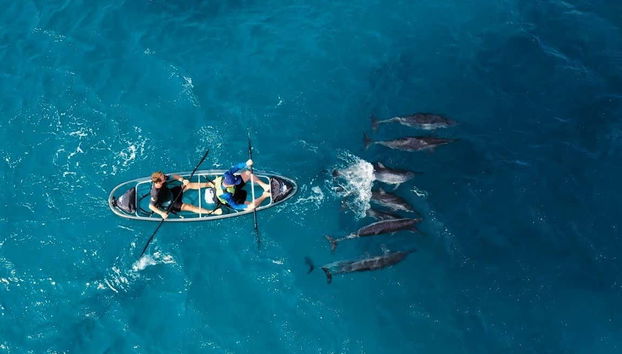 Observerz les fonds marins depuis le kayak transparent