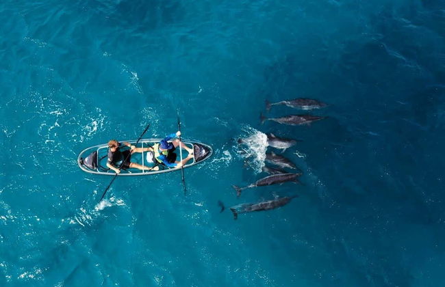 Balade en kayak transparent à Fernando de Noronha - Photo 3