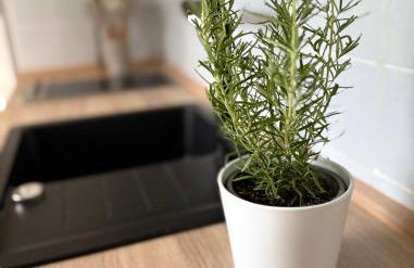 Heidezauber für 2-4 Personen - Foto 18