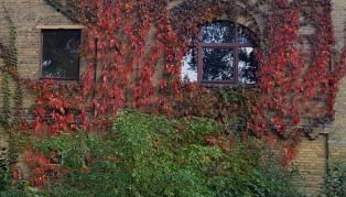 Fewo "Mohnblume" am Stadtpark - Foto 5