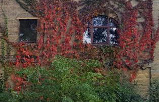 Fewo "Mohnblume" am Stadtpark - Foto 5