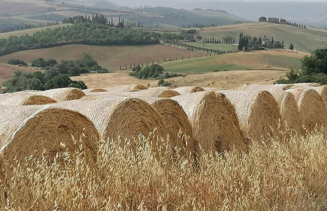 Charming Retreat in Armaiolo - Foto 39