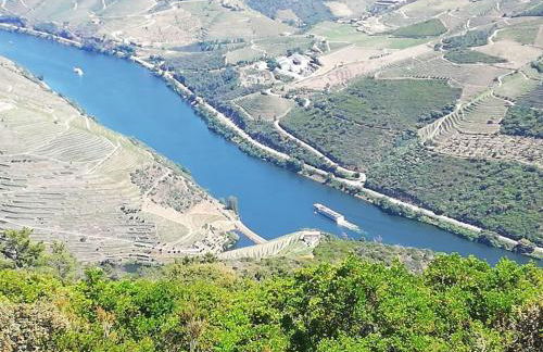 Domus Trintorum - Foto 15