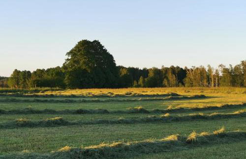 Stara Stolarnia - Foto 9