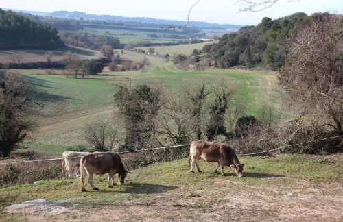 Casa Mestres - Foto 24