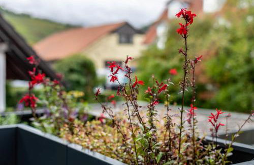 Fewo Ebringen Weinbergblick - Foto 31
