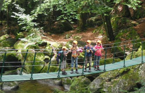 Landurlaub bei Familie Haug - Foto 7