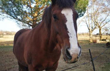 Dépendance avec balnéothérapie - Foto 12