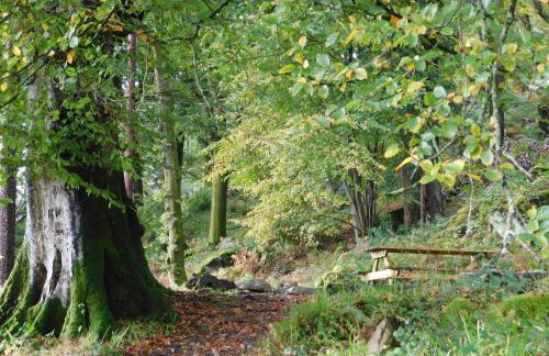 Red Dragon Cottages nr Mt Snowdon - Photo 70