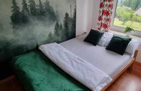 Góralski domek na szczycie - Foto 4