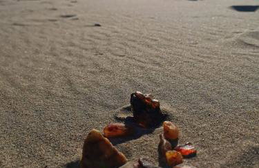 M&K Apartamenty Przystań Świbno - Photo 61