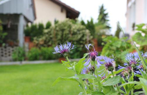 Ferienwohnung Wandl - Foto 28