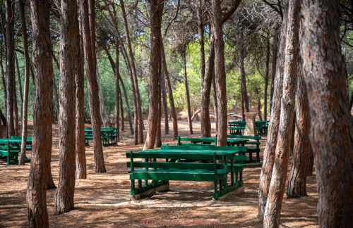 Randello Sunset - Foto 5