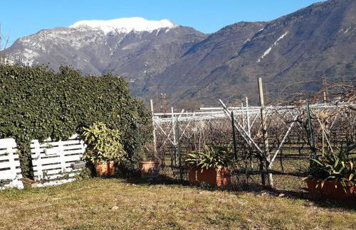 Apartment Casa Padronale nähe Arco by Interhome - Foto 4