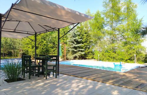 Dom z basenem nad Narwią - Foto 1