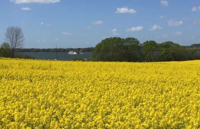 Nordgluck Modern Retreat - Photo 9