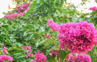 Evia Studios - Photo 33