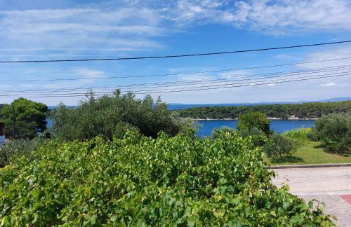 Apartments Mlacovic - Photo 59