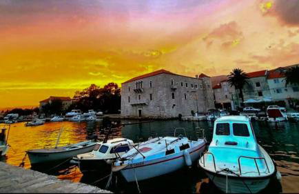 Žunić Apartman - Photo 21