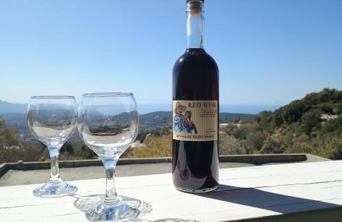 Tsampika s Traditional Stone Cottage in Siana - Foto 81