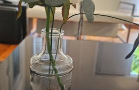 Lovely Home - Relaxing- with many Amenities & Pool - Foto 71