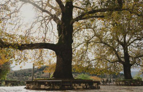 Country house 2 - Foto 7