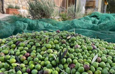 Agriturismo Country Casale Rufo - Foto 26