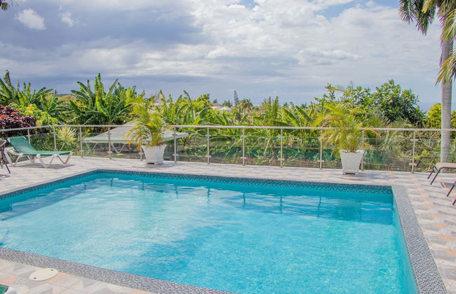 Crystal Jamaica Villa - Photo 69