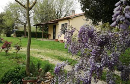 Agriturismo cavallin del papa - Foto 36