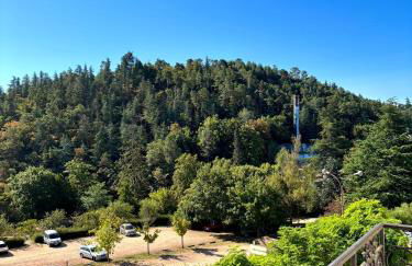 Le cocon des volcans - Photo 10