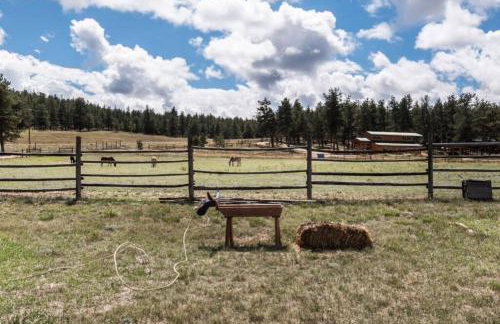 New! Charming Cabin in Colorado National Forest - Foto 15