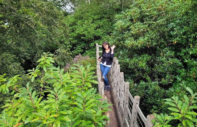 Lovely 2-bed Cottage in Coalbrookdale Telford - Photo 12