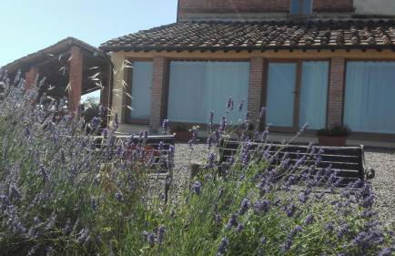 Agriturismo Le Crete - Appartamenti - Foto 60