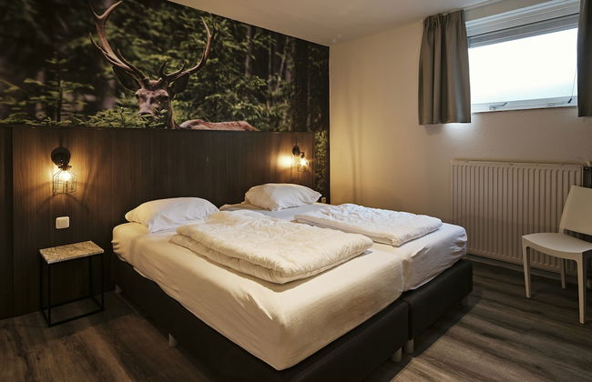 Vakantiepark De Bosrand - Foto 13