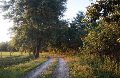 Na Chałupki - Foto 25