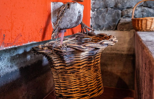 Casas da Luz - Casa da Pedreira by Homie - Foto 25