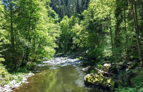 Ferienwohnung Zum Grünen Berg - Foto 20