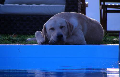 Villa Podere Quartarola - Foto 77