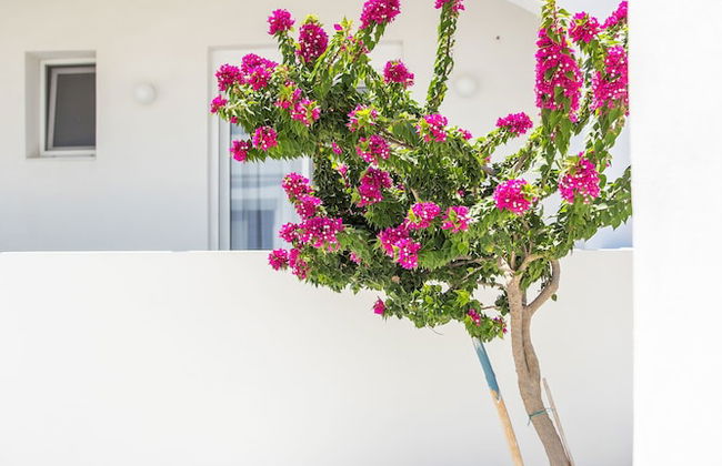 White Passion Villa - Foto 31