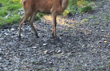 Penthouse ,,Kleine Auszeit" - Foto 25