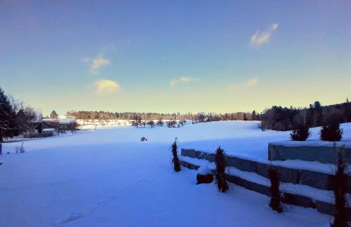 Ferienwohnung Waldlichtung - Foto 4